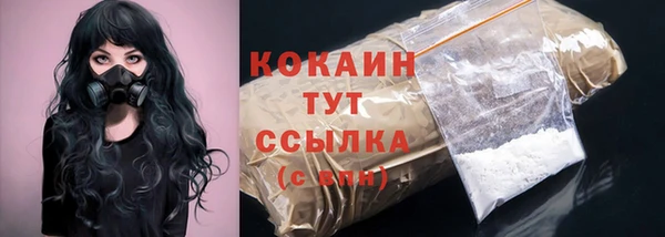 соль ск Алзамай