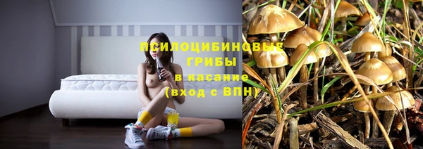 соль ск Алзамай