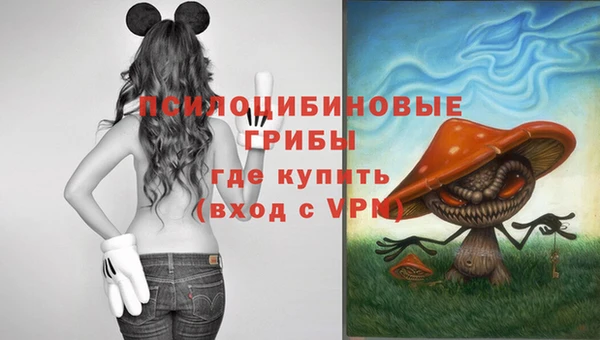 соль ск Алзамай