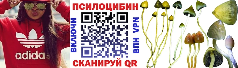 hydra маркетплейс  Томилино  Галлюциногенные грибы Cubensis 